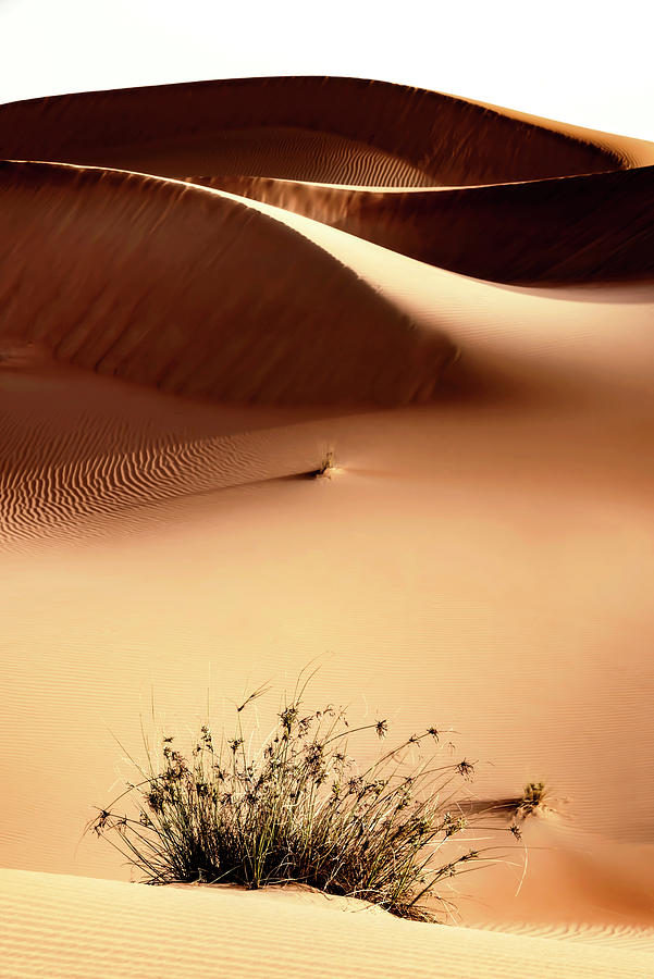 Nature Photograph - Wild Sand Dunes - Persian Orange by Philippe HUGONNARD