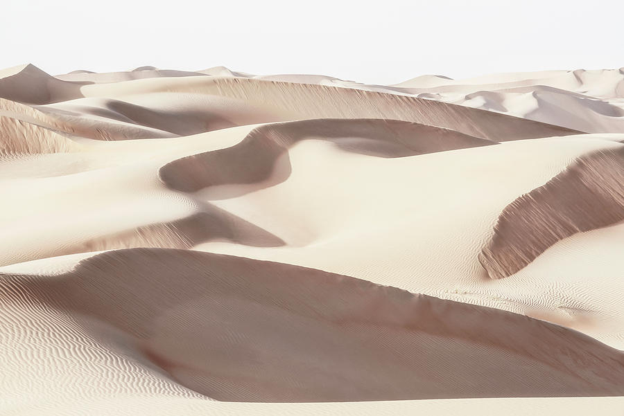 Wild Sand Dunes - Purity Photograph by Philippe HUGONNARD