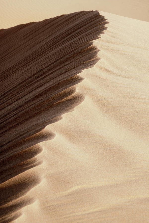 Wild Sand Dunes - Ripple Photograph by Philippe HUGONNARD