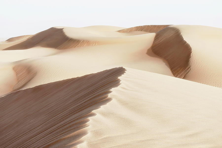 Wild Sand Dunes - Sand Bisque Photograph by Philippe HUGONNARD