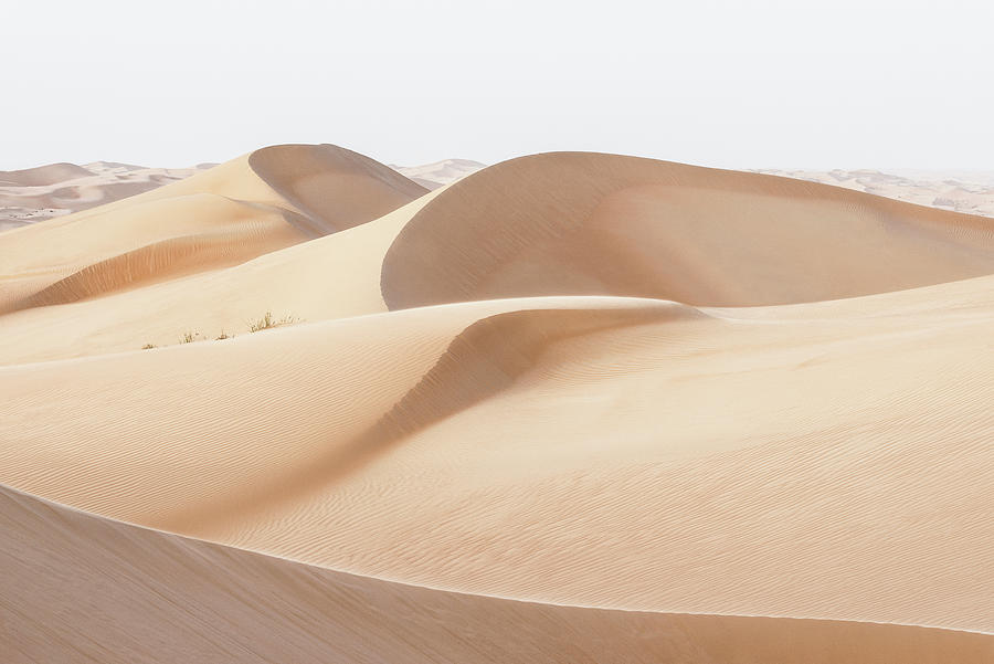 Wild Sand Dunes - Sand Skin Photograph by Philippe HUGONNARD