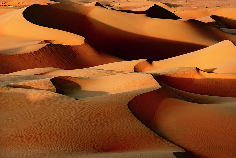 Wild Sand Dunes - Sandy Brown Photograph by Philippe HUGONNARD