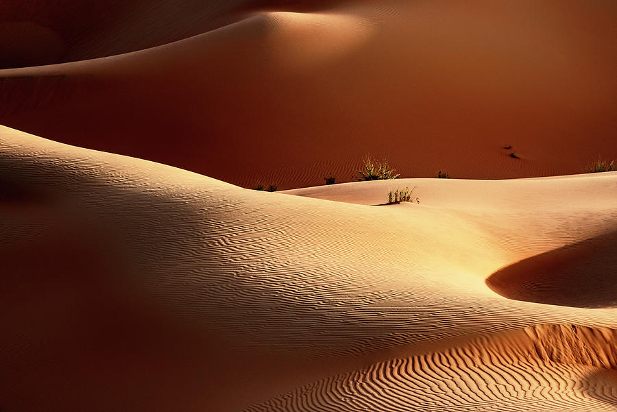 Nature Photograph - Wild Sand Dunes - Sensual by Philippe HUGONNARD
