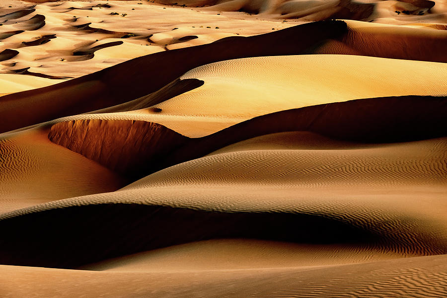 Wild Sand Dunes - Shadow Desert Photograph by Philippe HUGONNARD