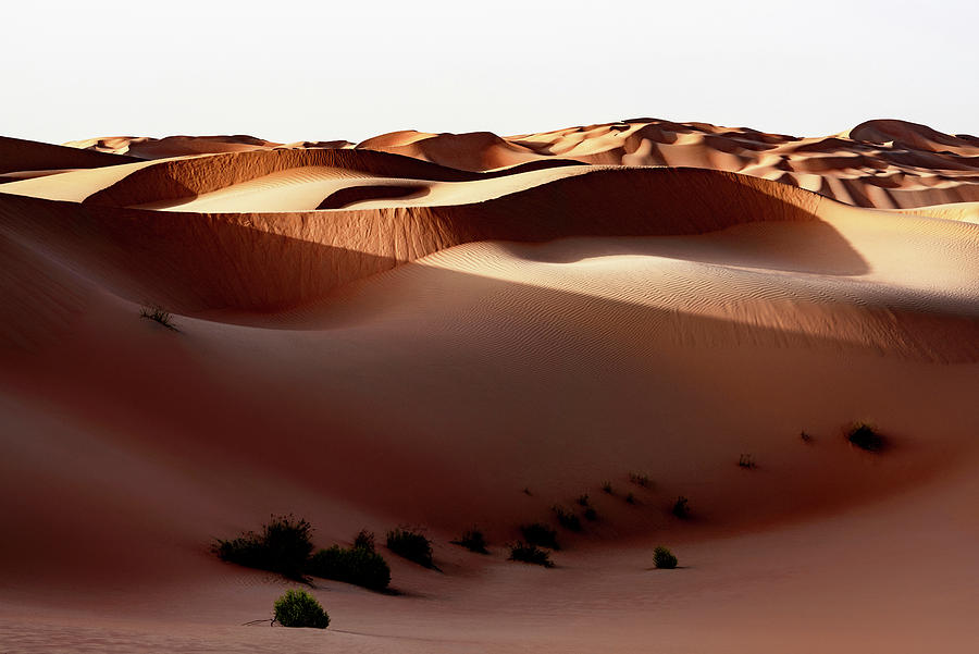 Wild Sand Dunes - Shadow Sunset Photograph by Philippe HUGONNARD