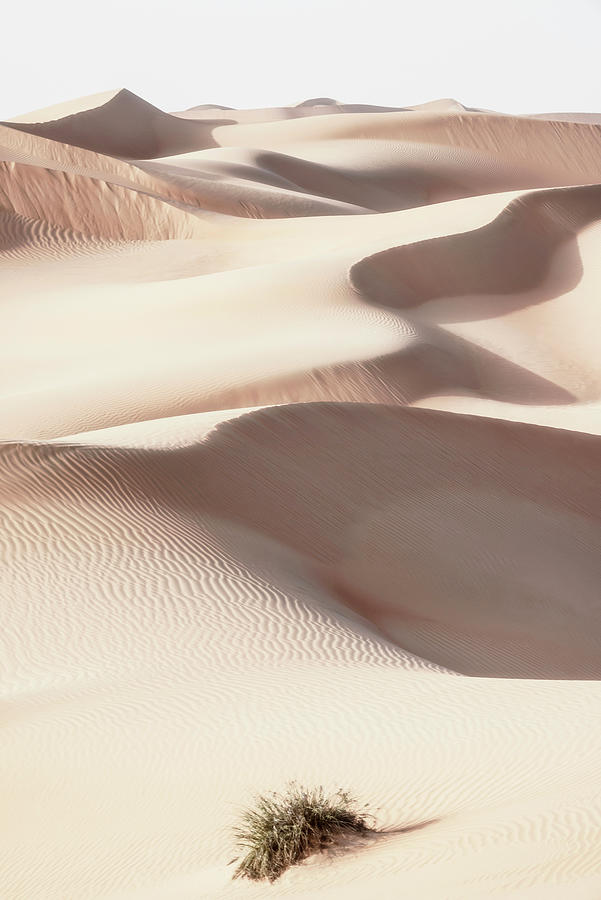 Wild Sand Dunes - Skin Sand Photograph by Philippe HUGONNARD