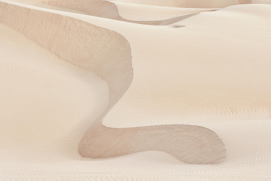 Wild Sand Dunes - Snake Photograph by Philippe HUGONNARD