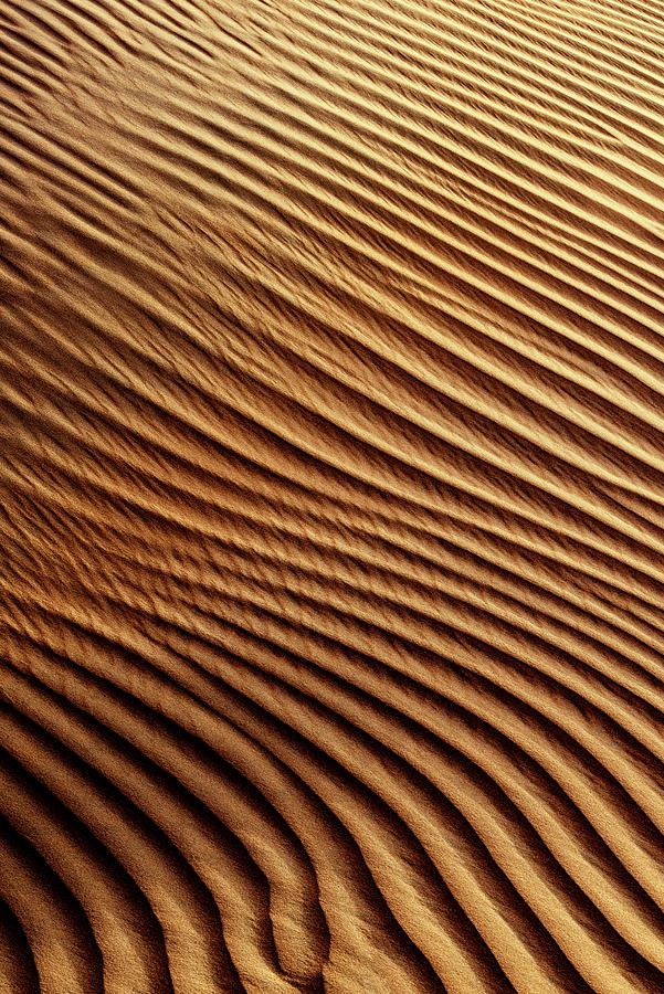Wild Sand Dunes - Sunshine Ripple Photograph by Philippe HUGONNARD