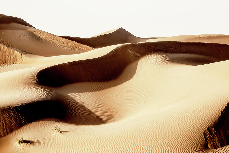Wild Sand Dunes - Sunshine Waves Photograph by Philippe HUGONNARD