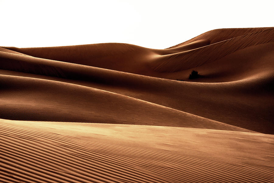 Wild Sand Dunes - The Waves Photograph by Philippe HUGONNARD