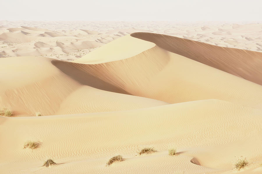 Wild Sand Dunes - Topaz Desert Photograph by Philippe HUGONNARD