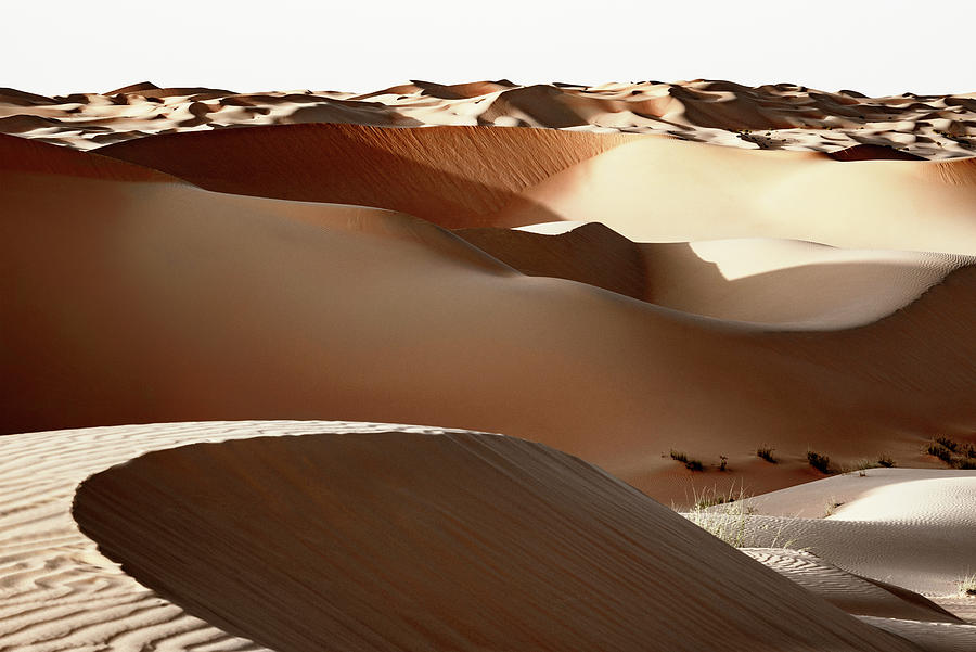 Nature Photograph - Wild Sand Dunes - UAE Desert by Philippe HUGONNARD