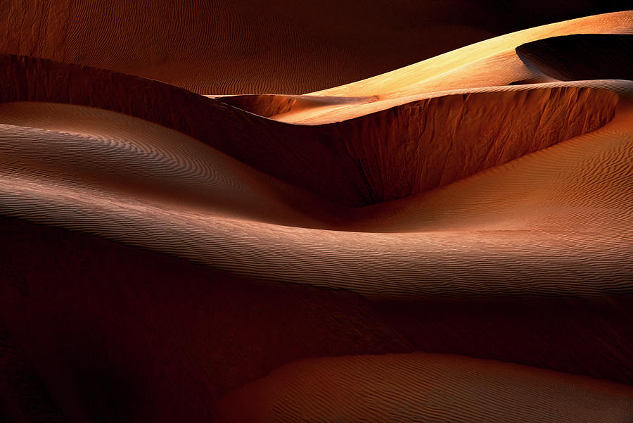 Nature Photograph - Wild Sand Dunes - Voluptuous by Philippe HUGONNARD
