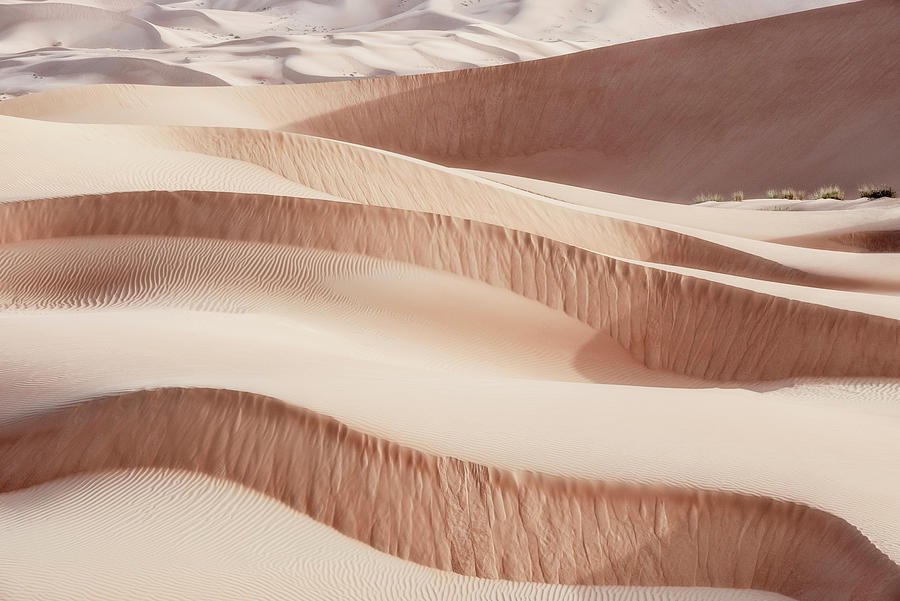 Wild Sand Dunes - Waves Photograph by Philippe HUGONNARD