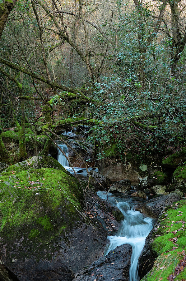 Wild Scene of Forest and Waterfalls in Geres Photograph by Angelo DeVal