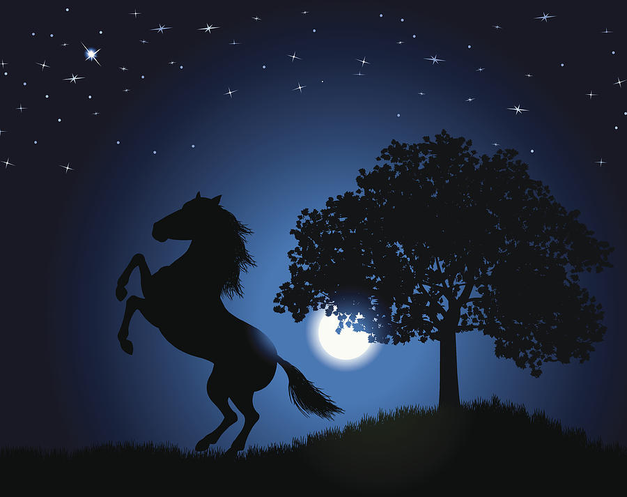 Wild Stallion Background - Horse Under the Moonlight Drawing by KeithBishop