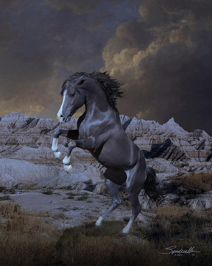 Wild Stallion in the Badlands Digital Art by M Spadecaller