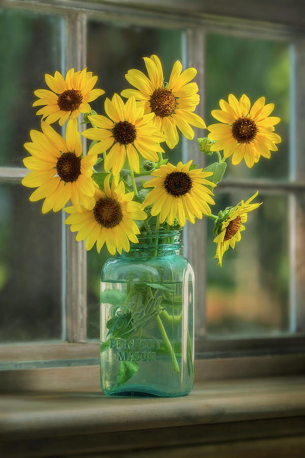 Wild Sunflowers And Sunshine Photograph by John Rogers
