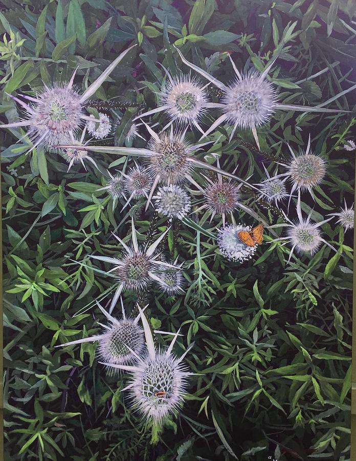 Wild Teasel Painting by Thomas Stead