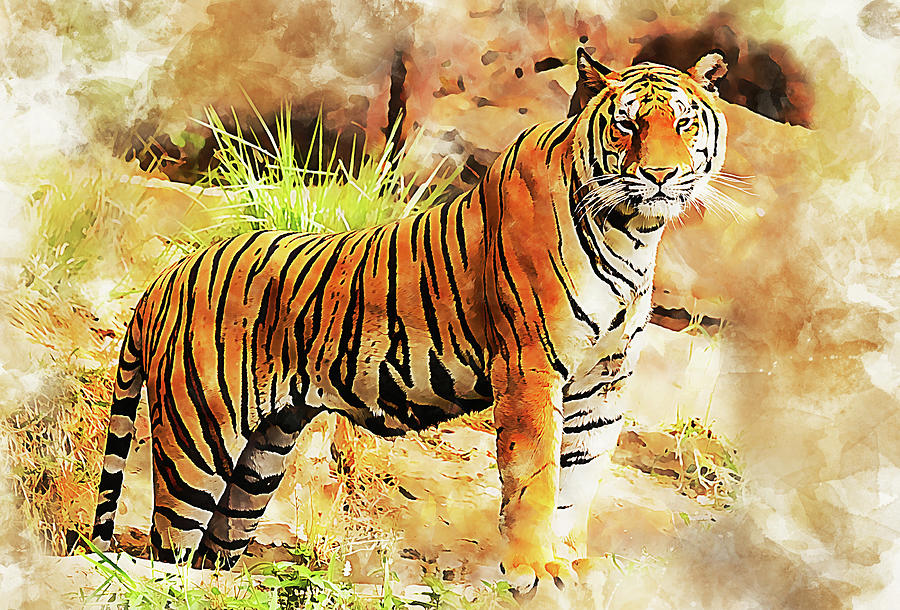 Wild Tiger - 23 Painting by AM FineArtPrints