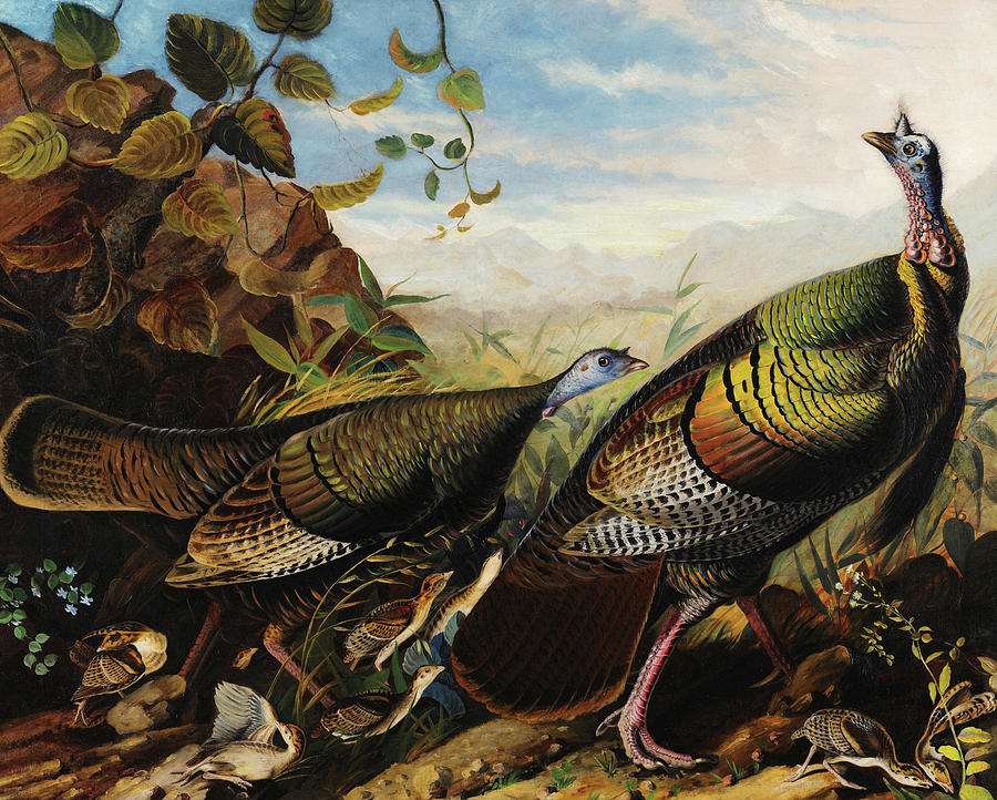 John James Audubon Painting - Wild Turkey Cock and Hen and Nine Chicks by John James Audubon