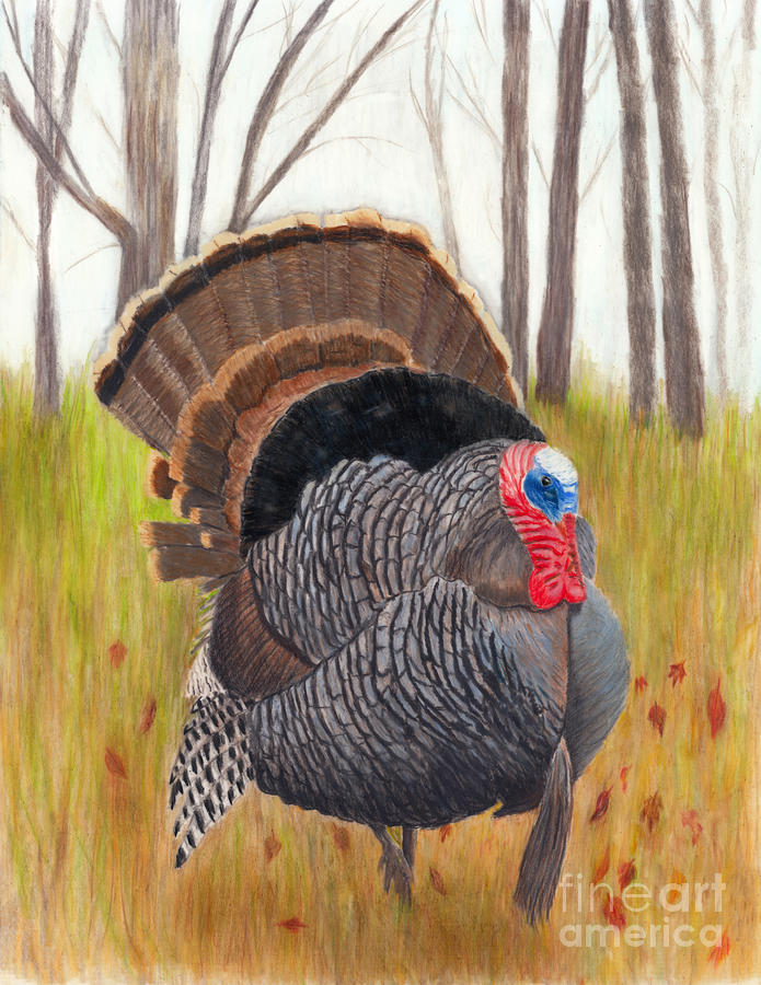 Wild Turkey Strut Painting