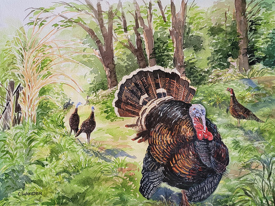 Wild Turkeys Painting