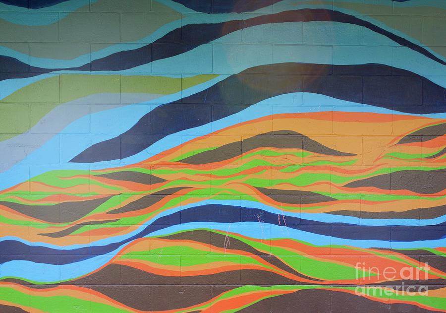 Abstract Photograph - Wild Wall by Bailey Barry