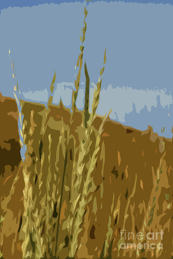 Wild Wheat Digital Art by Mary Mikawoz