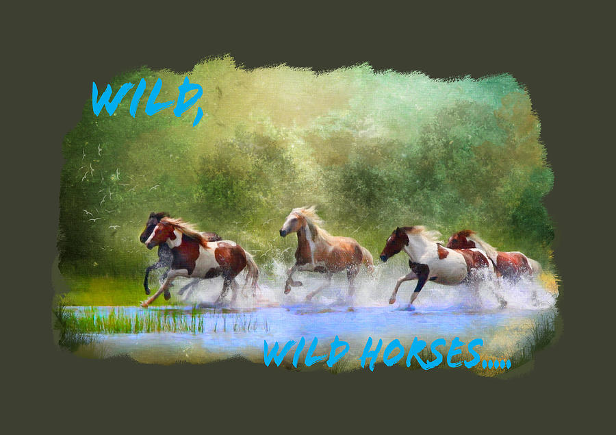 Wild, Wild Horses Digital Art by Posey Clements