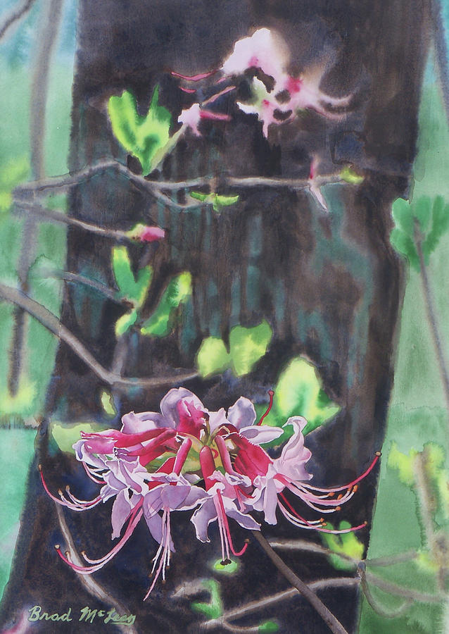 Watercolor Painting - Wild Wonder by Brad McLean Watercolor Painting - Wild Wonder by Brad McLean