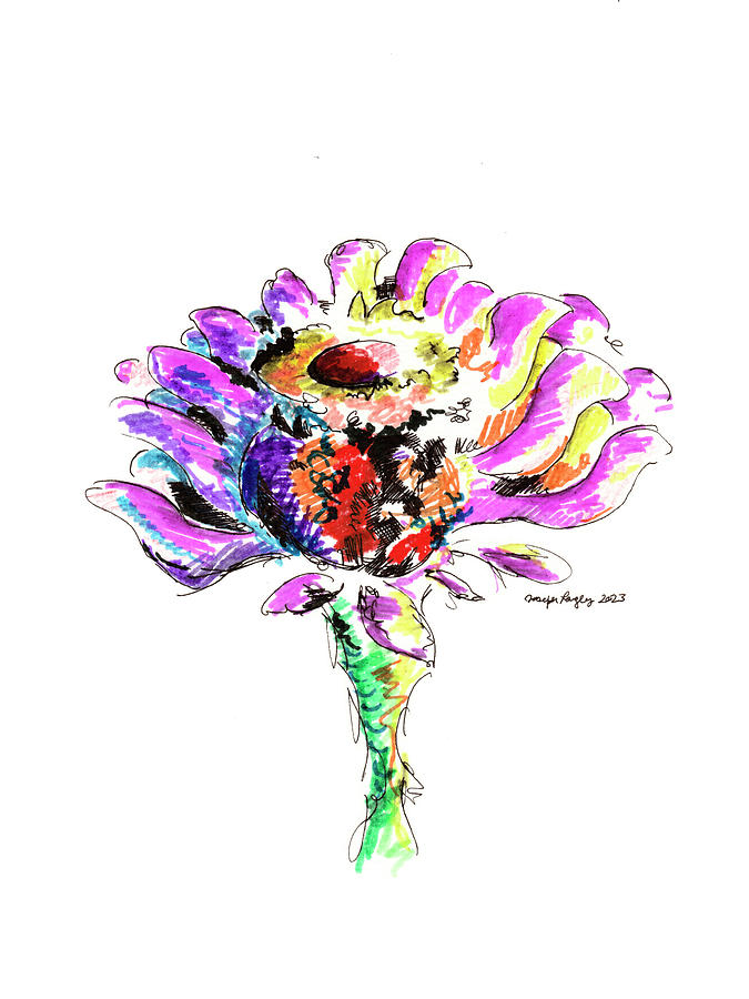 Wild Zinnia - October 2023 Drawing by Joseph A Langley