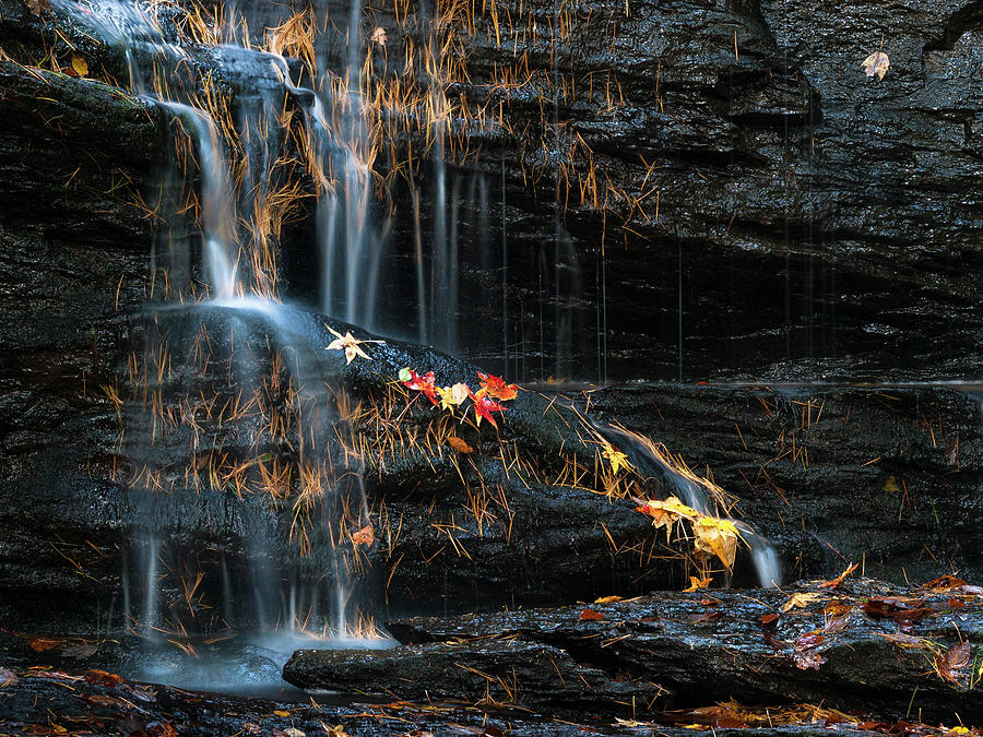 Wildcat Falls Autumn in Greenville SC Photograph by Rich Nicoloff - Pixels