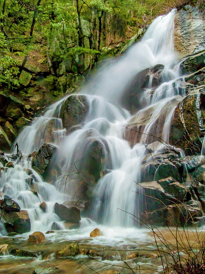 Wildcat Falls In Color Photograph by Bill Gallagher