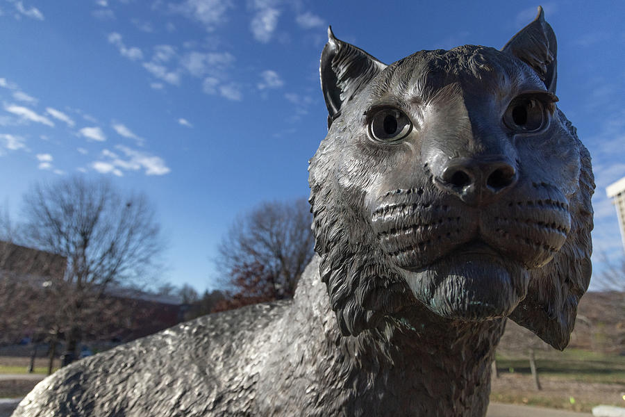 Wildcat statue at the University of Kentucky Photograph by Eldon McGraw