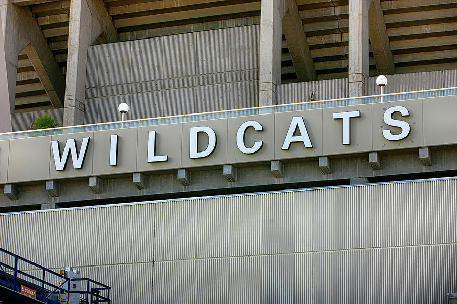 Wildcats Photograph by Chris Smith
