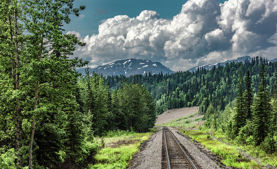 Wilderness Adventure By Train in Alaska Photograph by Marcy Wielfaert