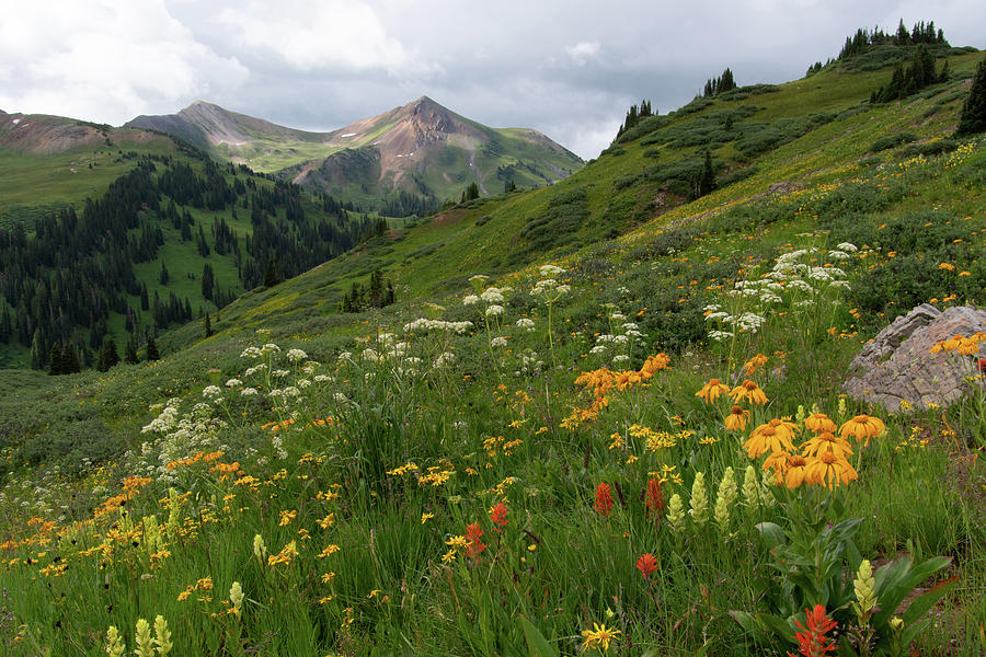 Wilderness Meadow and Mountain Summer Landscape Photograph by Cascade Colors