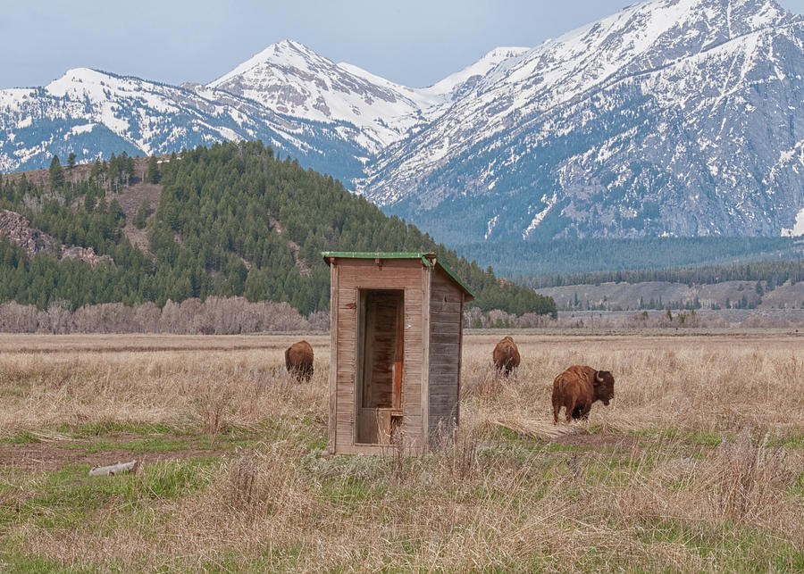 Wilderness Outhouse Photograph by CR Courson