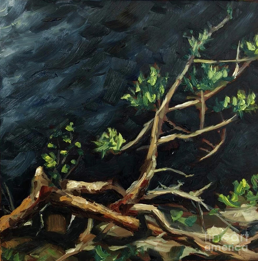 Wilderness Painting N55 Painting by Ric Nagualero