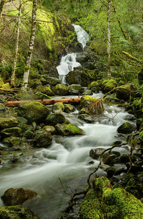 Wilderness River Photograph