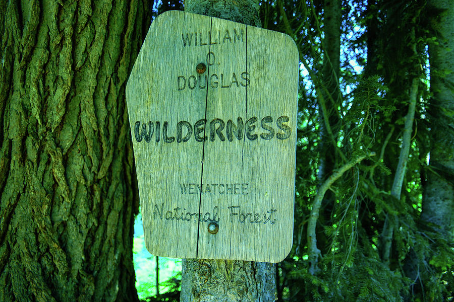 Wilderness Sign Photograph