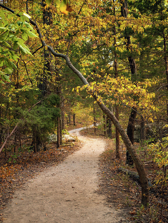 Wilderness Trail Photograph by Grant Twiss Wilderness Trail Photograph by Grant Twiss