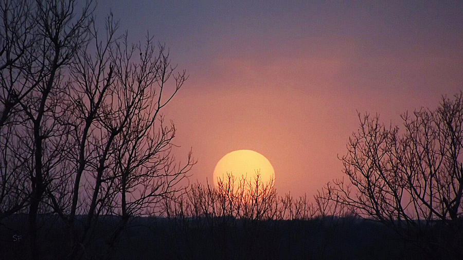 Wildfire Sunset  Photograph by Shelli Fitzpatrick