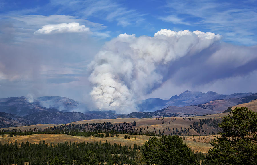 Wildfires in Yellowstone Photograph by Carolyn Derstine