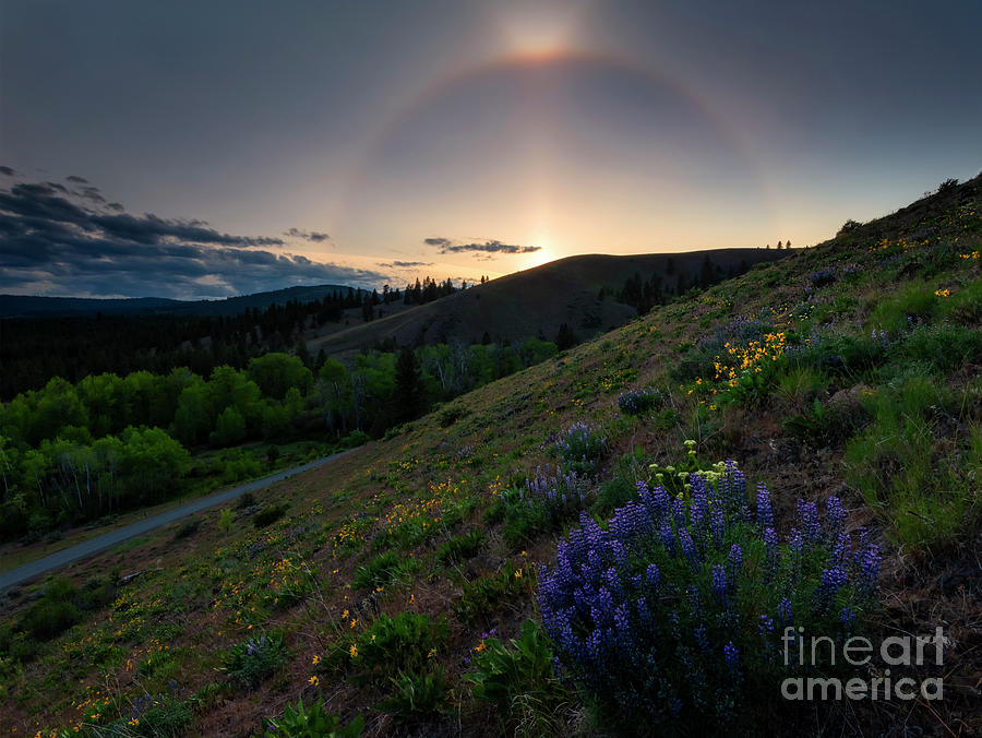 Sunset Photograph - Wildflower Cloudbow by Michael Dawson