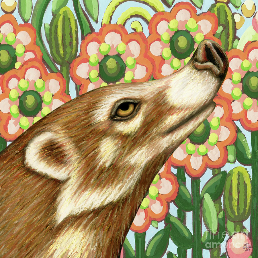 Wildflower Coati Painting by Amy E Fraser