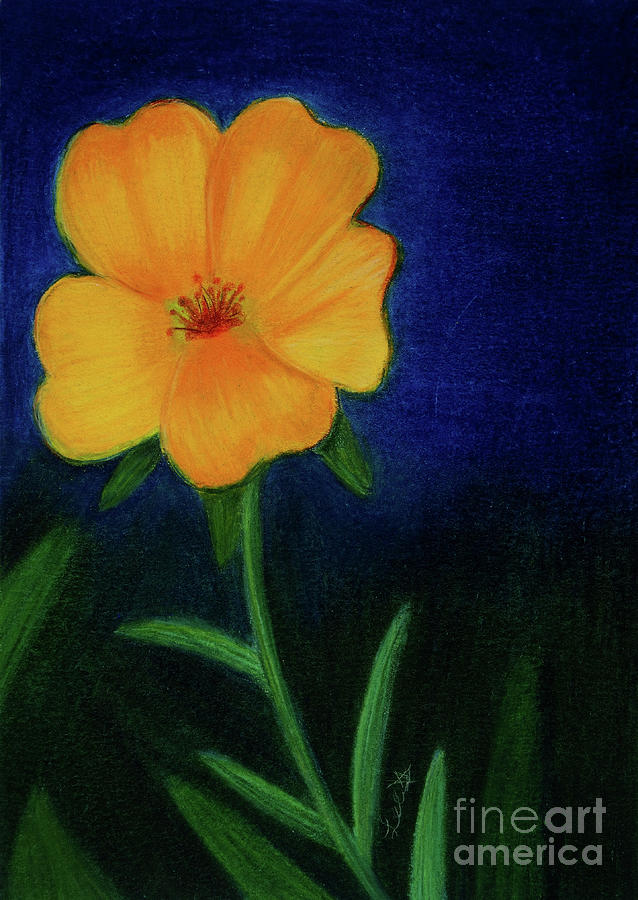Wildflower Painting by Dorothy Lee
