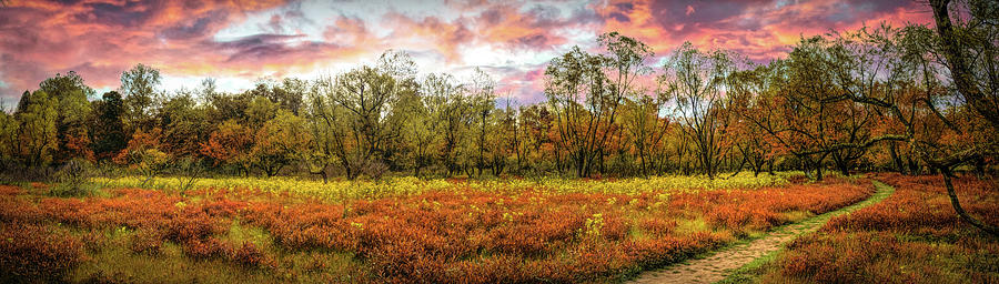 Wildflower Fall Meadow Panorama Photograph by Debra and Dave Vanderlaan