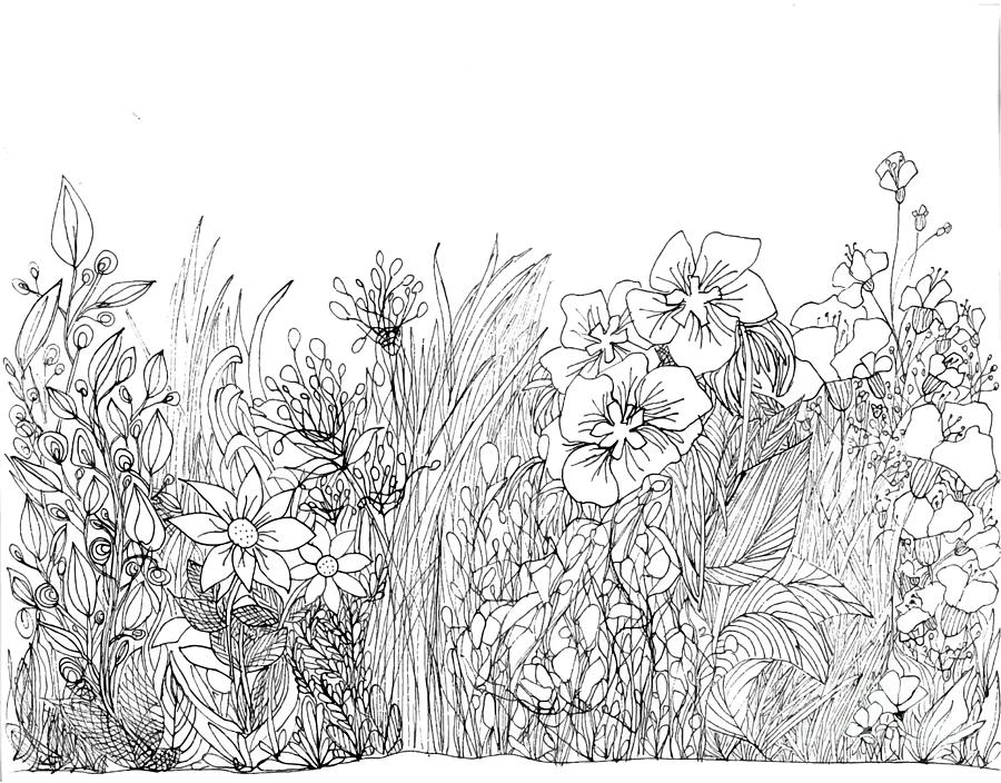 Black And White Drawing - Wildflower Garden - Line Art - Drawing by Patricia Awapara